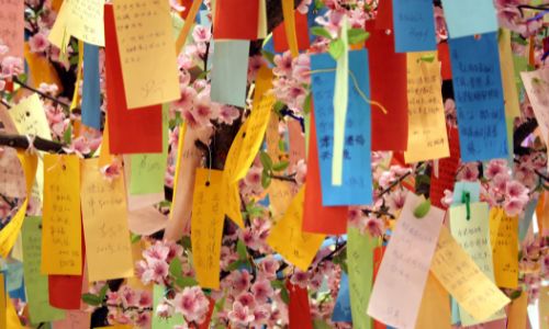 7 de julio seitai katsugen undo laura tanabata matsuri